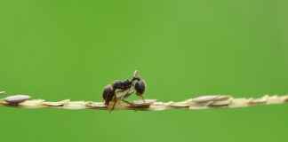 Coğrafyacı Alım İlanları ve Şartları Coğrafyacı Alım İlanları ve Şartları