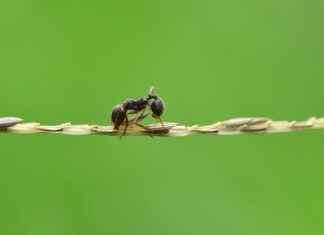 Coğrafyacı Alım İlanları ve Şartları Coğrafyacı Alım İlanları ve Şartları