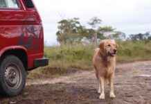 Demirdöküm Kombi Fiyatları ve En Uygun Kış Hazırlığı Demirdöküm Kombi Fiyatları ve En Uygun Kış Hazırlığı