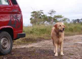 Demirdöküm Kombi Fiyatları ve En Uygun Kış Hazırlığı Demirdöküm Kombi Fiyatları ve En Uygun Kış Hazırlığı