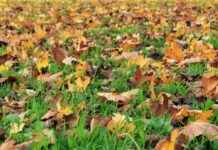 Deri Sanayi Uzmanı Alım İlanları ve Şartları Deri Sanayi Uzmanı Alım İlanları ve Şartları