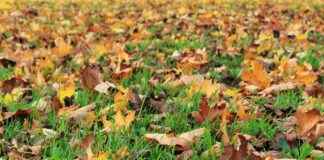 Deri Sanayi Uzmanı Alım İlanları ve Şartları Deri Sanayi Uzmanı Alım İlanları ve Şartları