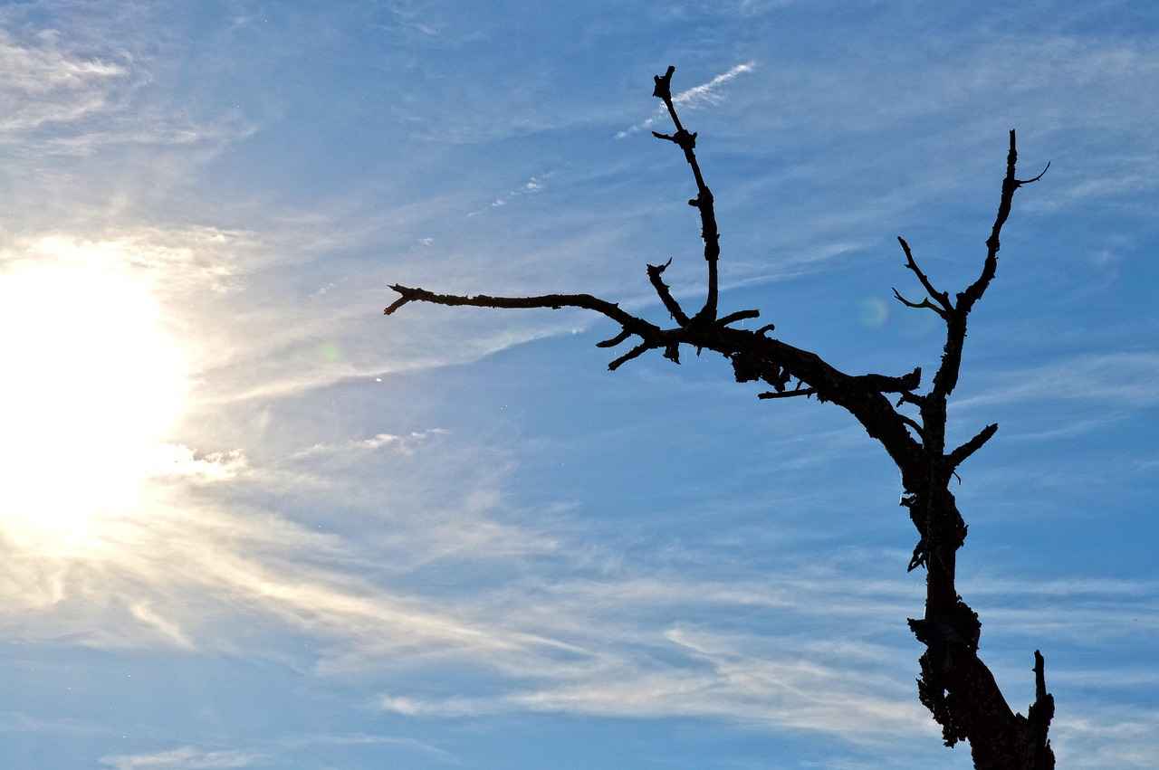 Diş Beyazlatma Fiyatları Hangi Yöntem Daha Kalıcı? 1 Diş Beyazlatma Yöntemleri Nelerdir?