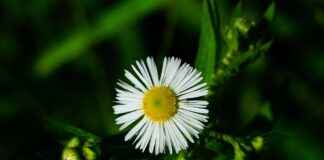 Dış Ticaret Uzmanı Alım İlanları ve Şartları Dış Ticaret Uzmanı Alım İlanları ve Şartları