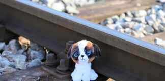 Doçent Alım İlanları ve Şartları Doçent Alım İlanları ve Şartları