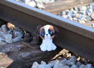 Doçent Alım İlanları ve Şartları Doçent Alım İlanları ve Şartları