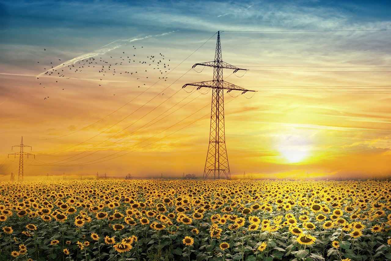 Elektrik Tesisatçısı Alım İlanları ve Şartları 4 Elektrik Tesisatçısı İş İlanlarını Nerede Bulabilirim?