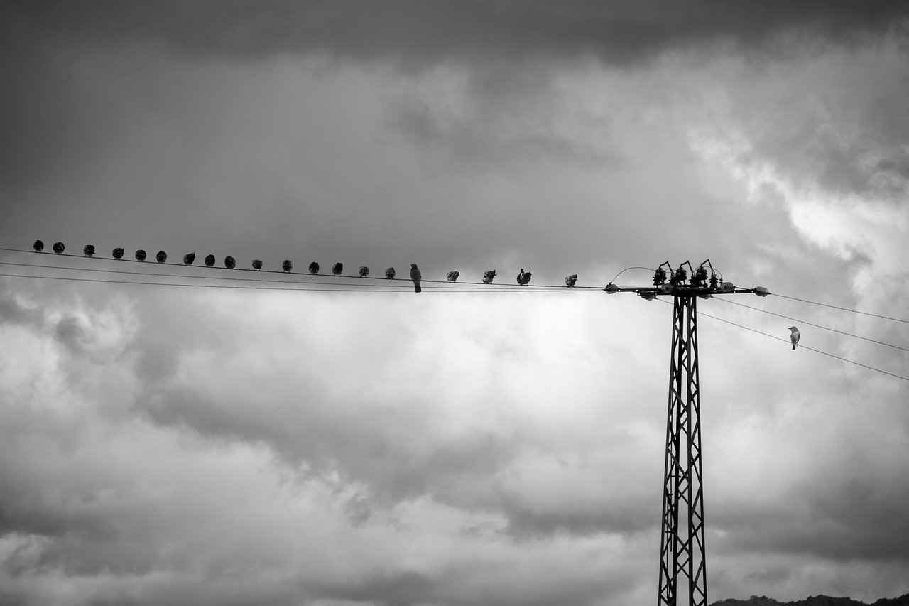 Elektrik Tesisatçısı Alım İlanları ve Şartları 3 Elektrik Tesisatçısı Alım İlanlarında Aranan Özellikler