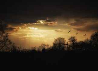 En Uygun Parke Fiyatlarıyla Evinize Yeni Bir Hava Katın En Uygun Parke Fiyatlarıyla Evinize Yeni Bir Hava Katın