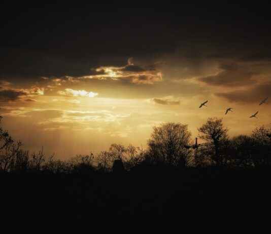 En Uygun Parke Fiyatlarıyla Evinize Yeni Bir Hava Katın En Uygun Parke Fiyatlarıyla Evinize Yeni Bir Hava Katın