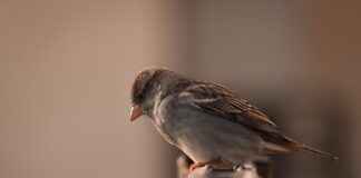 Enerji ve Tabii Kaynaklar Bakanlığı Memur Alım İlanları ve Memur Alım Şartları Enerji ve Tabii Kaynaklar Bakanlığı Memur Alım İlanları ve Memur Alım Şartları