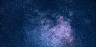 Fayans Fiyatları Nasıl Belirlenir? Eviniz İçin Doğru Seçim Fayans Fiyatları Nasıl Belirlenir? Eviniz İçin Doğru Seçim