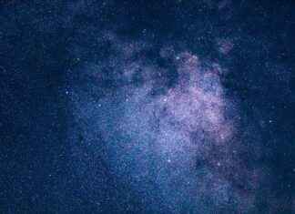 Fayans Fiyatları Nasıl Belirlenir? Eviniz İçin Doğru Seçim Fayans Fiyatları Nasıl Belirlenir? Eviniz İçin Doğru Seçim