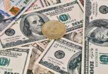 Gazipaşa Hal Fiyatları ile Ürünlerin Günlük Değeri Gazipaşa Hal Fiyatları ile Ürünlerin Günlük Değeri