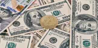 Gazipaşa Hal Fiyatları ile Ürünlerin Günlük Değeri Gazipaşa Hal Fiyatları ile Ürünlerin Günlük Değeri