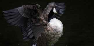 Gençlik ve Spor Bakanlığı Memur Alım İlanları ve Memur Alım Şartları Gençlik ve Spor Bakanlığı Memur Alım İlanları ve Memur Alım Şartları