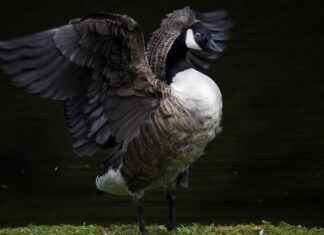 Gençlik ve Spor Bakanlığı Memur Alım İlanları ve Memur Alım Şartları Gençlik ve Spor Bakanlığı Memur Alım İlanları ve Memur Alım Şartları