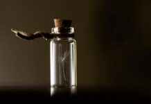 Genetik Mühendisi Alım İlanları ve Şartları Genetik Mühendisi Alım İlanları ve Şartları