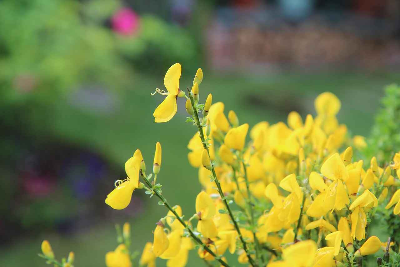 Genetik Mühendisliğinde Gelecek Trendleri