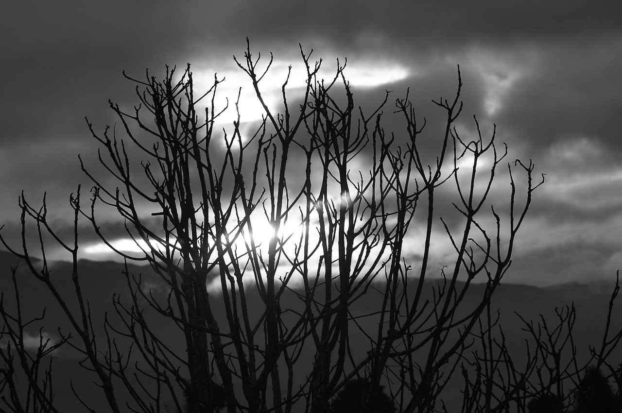 Grafik Tasarımcı Nedir?