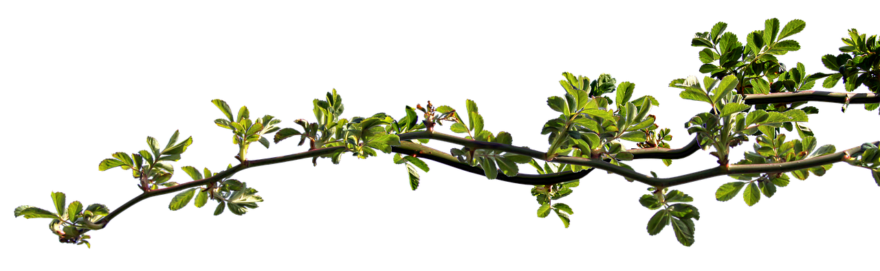 Grafik Tasarımcıların Görevleri Nelerdir?