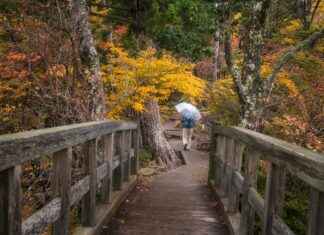 Güvenlik Görevlisi Alım İlanları ve Şartları Güvenlik Görevlisi Alım İlanları ve Şartları