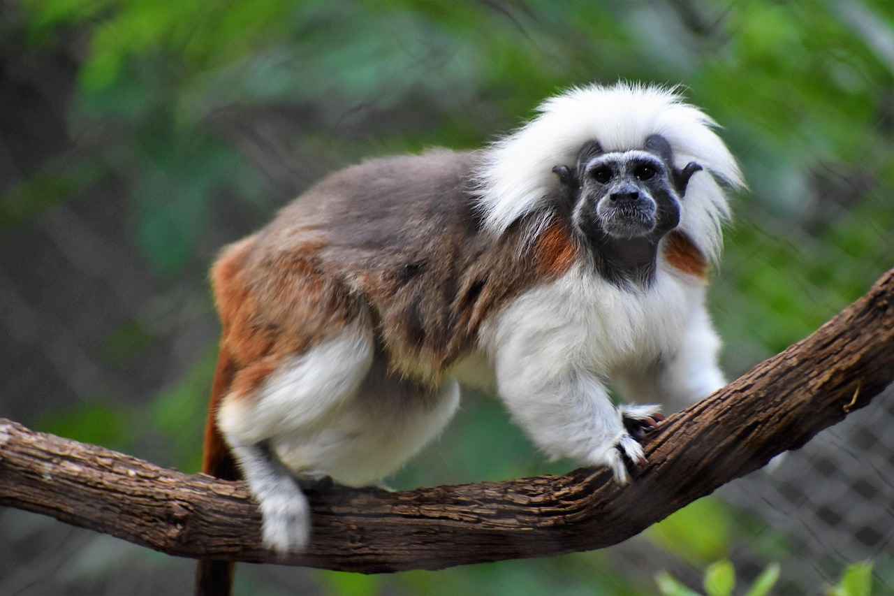 Hac Fiyatları 2024 İçin En Avantajlı Seçenekler 2 2024 Hac Fiyatları Ne Kadar Olacak?