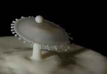 Havuz Fiyatları Hangi Tip Havuz Daha Uygun Maliyetli? Havuz Fiyatları Hangi Tip Havuz Daha Uygun Maliyetli?