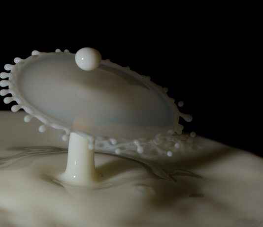 Havuz Fiyatları Hangi Tip Havuz Daha Uygun Maliyetli? Havuz Fiyatları Hangi Tip Havuz Daha Uygun Maliyetli?