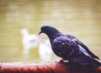 Hazine ve Maliye Bakanlığı Memur Alım İlanları ve Memur Alım Şartları Hazine ve Maliye Bakanlığı Memur Alım İlanları ve Memur Alım Şartları