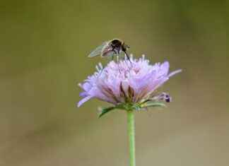 İcra Katibi Memur Alım İlanları ve Şartları İcra Katibi Memur Alım İlanları ve Şartları