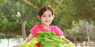 İşitme Cihazı Fiyatları Hangi Markada Daha Uygun? İşitme Cihazı Fiyatları Hangi Markada Daha Uygun?