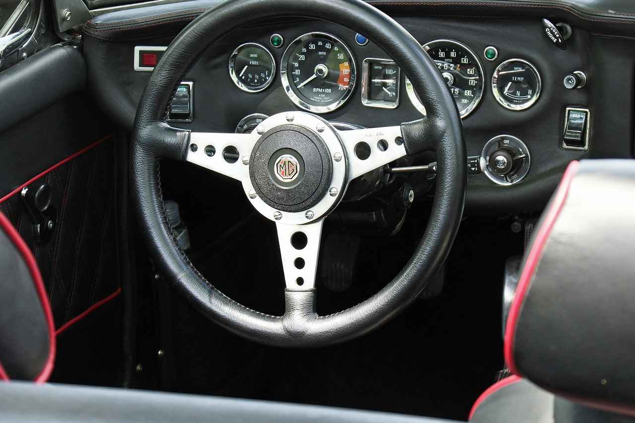 İzleyici/Denetim Uzmanı Nedir?