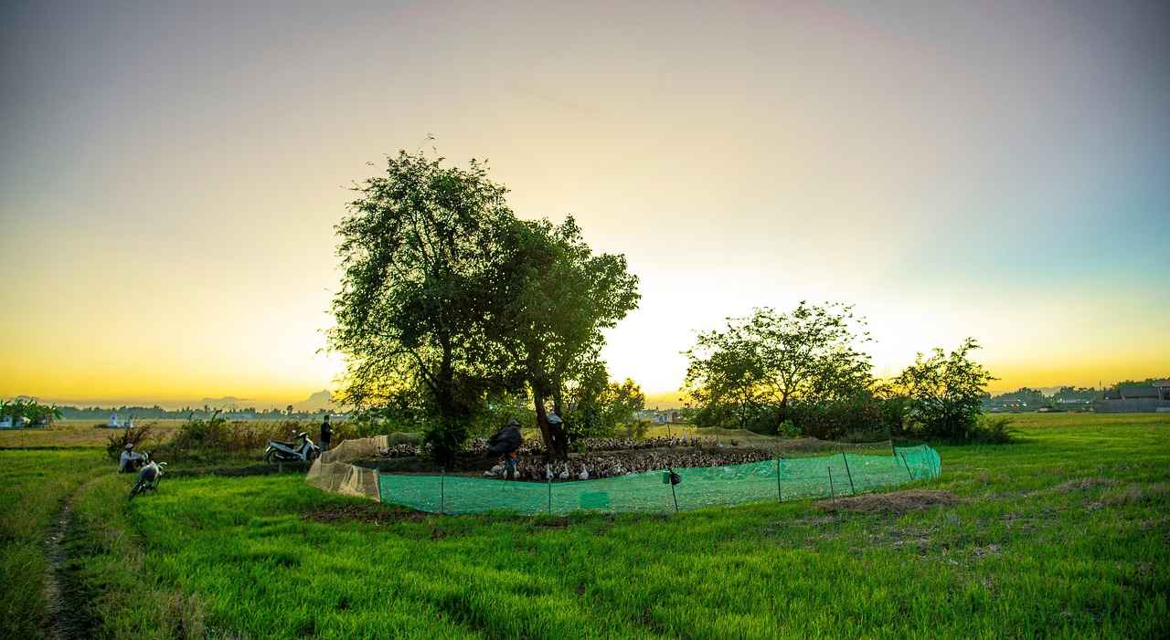 İzleyici/Denetim Uzmanı Olmak İçin Gereken Nitelikler