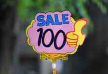 Jako Papağan Fiyatları Hangi Tür Daha Uygun? Jako Papağan Fiyatları Hangi Tür Daha Uygun?