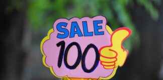 Jako Papağan Fiyatları Hangi Tür Daha Uygun? Jako Papağan Fiyatları Hangi Tür Daha Uygun?