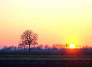 Jakuzi Fiyatları Ne Kadar? Evde Lüks Keyfin Maliyeti Jakuzi Fiyatları Ne Kadar? Evde Lüks Keyfin Maliyeti