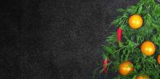 Japonca Tercüman Alım İlanları ve Şartları Japonca Tercüman Alım İlanları ve Şartları