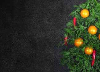 Japonca Tercüman Alım İlanları ve Şartları Japonca Tercüman Alım İlanları ve Şartları