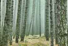 Jeep Fiyat Listesi ile Maceraya Hangi Modelle Çıkmalı? Jeep Fiyat Listesi ile Maceraya Hangi Modelle Çıkmalı?