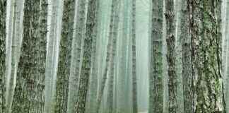 Jeep Fiyat Listesi ile Maceraya Hangi Modelle Çıkmalı? Jeep Fiyat Listesi ile Maceraya Hangi Modelle Çıkmalı?