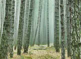 Jeep Fiyat Listesi ile Maceraya Hangi Modelle Çıkmalı? Jeep Fiyat Listesi ile Maceraya Hangi Modelle Çıkmalı?