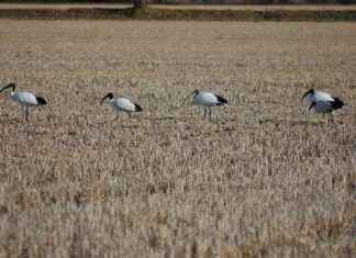 Karayolları Genel Müdürlüğü Memur Alım İlanları ve Memur Alım Şartları Karayolları Genel Müdürlüğü Memur Alım İlanları ve Memur Alım Şartları