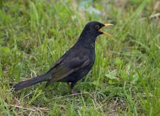 Kimya Mühendisi Alım İlanları ve Şartları Kimya Mühendisi Alım İlanları ve Şartları