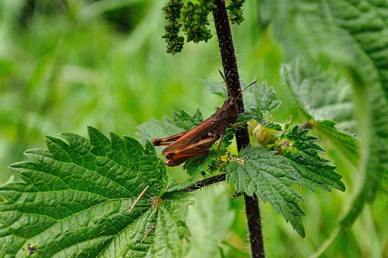 Kişisel Gelişim Uzmanı Nedir?