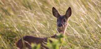 Konteyner Ev Fiyatları ile Ekonomik ve Pratik Yaşam Alanları Konteyner Ev Fiyatları ile Ekonomik ve Pratik Yaşam Alanları