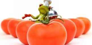 Kültür ve Sanat Danışmanı Alım İlanları ve Şartları Kültür ve Sanat Danışmanı Alım İlanları ve Şartları