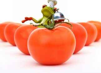 Kültür ve Sanat Danışmanı Alım İlanları ve Şartları Kültür ve Sanat Danışmanı Alım İlanları ve Şartları