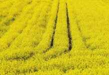 Kültür ve Turizm Bakanlığı Memur Alım İlanları ve Memur Alım Şartları Kültür ve Turizm Bakanlığı Memur Alım İlanları ve Memur Alım Şartları