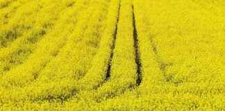 Kültür ve Turizm Bakanlığı Memur Alım İlanları ve Memur Alım Şartları Kültür ve Turizm Bakanlığı Memur Alım İlanları ve Memur Alım Şartları